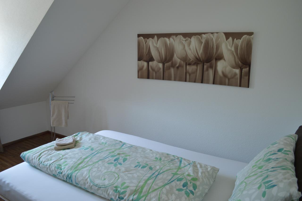 Unterehrendingen Bnb Zum Schluessel מראה חיצוני תמונה